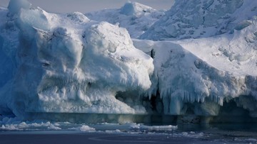 Ancaman Nyata di Selatan Greenland: Mengapa Krisis Iklim Global Kini Semakin Mendesak untuk Kita Pahami