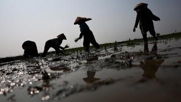 Di Balik Peringatan BMKG: Memahami Potensi Hujan Lebat di 17 Wilayah Kritis Indonesia Hari Ini