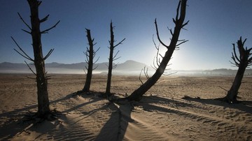 Ketika El Nino Mengguncang: Memahami Ancaman Ratusan Triliun di Afrika dan Relevansinya bagi Indonesia