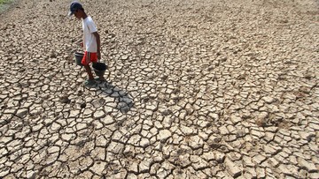 Ketika Bumi Mendidih: Menguak Dampak El Nino dan Solusi Cerdas Menghadapi Krisis Iklim Global