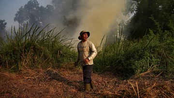 Lebih dari Sekadar El Nino: Mengapa Kesiapan Korporasi Jadi Kunci Penyelamat Hutan Indonesia?