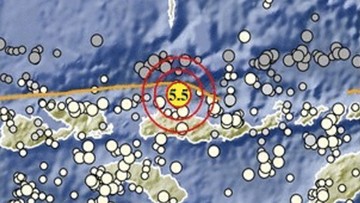 Mengapa Kita Perlu Tahu Lebih Dalam Tentang Sesar Flores: Ancaman Tersembunyi di Bawah Kaki Kita