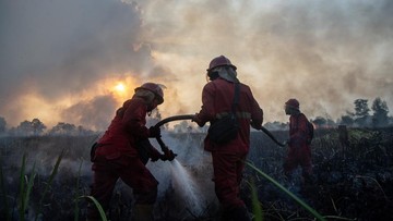 Ketika El Nino Godzilla Mengancam: Mengapa Indonesia Harus Bersiap Menghadapi Karhutla Ekstrem?