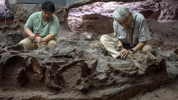 Surga Tersembunyi di Asia Tenggara: Mengapa Penemuan Fosil Dinosaurus di Thailand Mengubah Cara Pandang Kita tentang Sejarah Bumi?